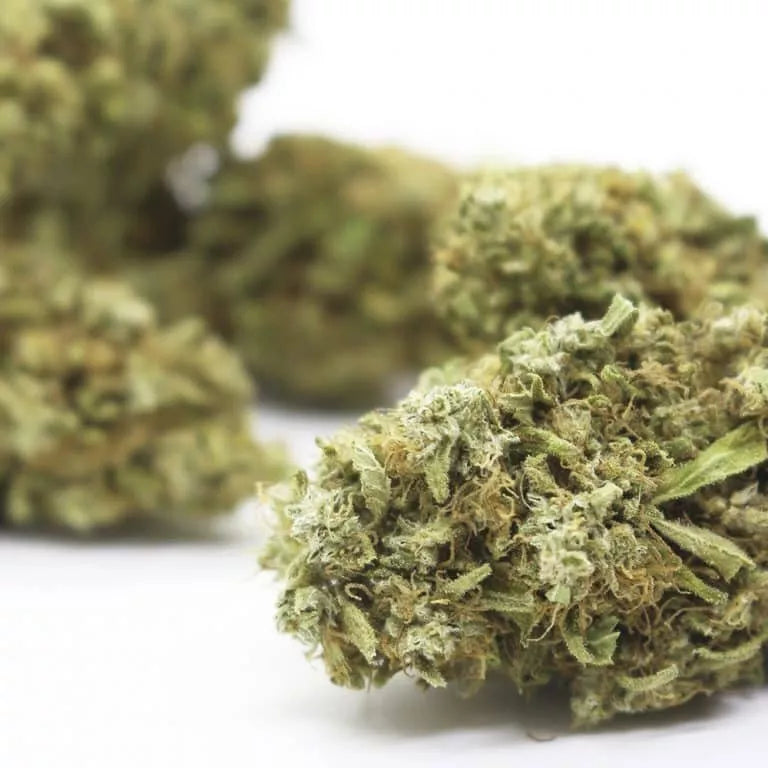 Bruce Banner