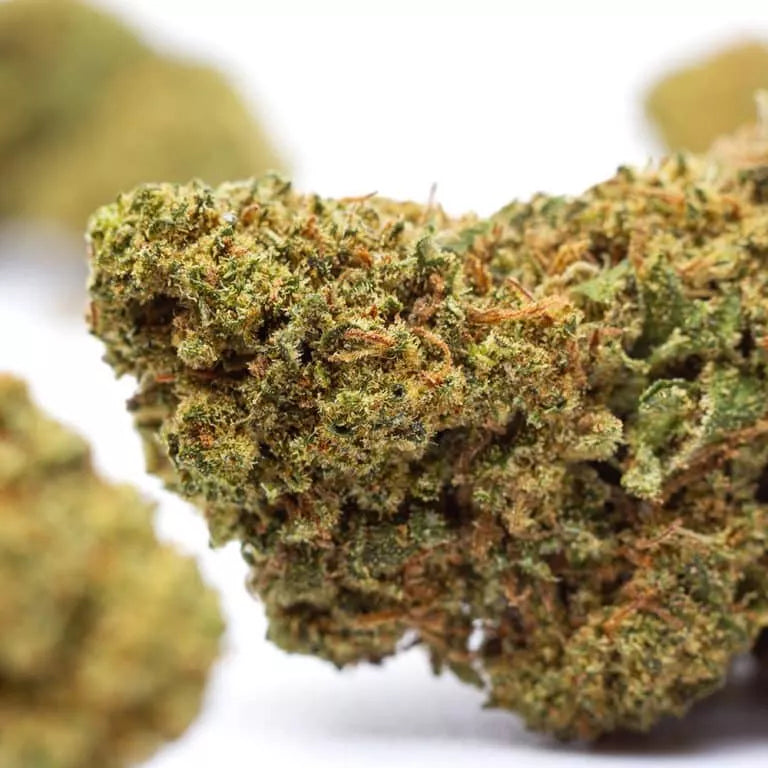 Buba Kush