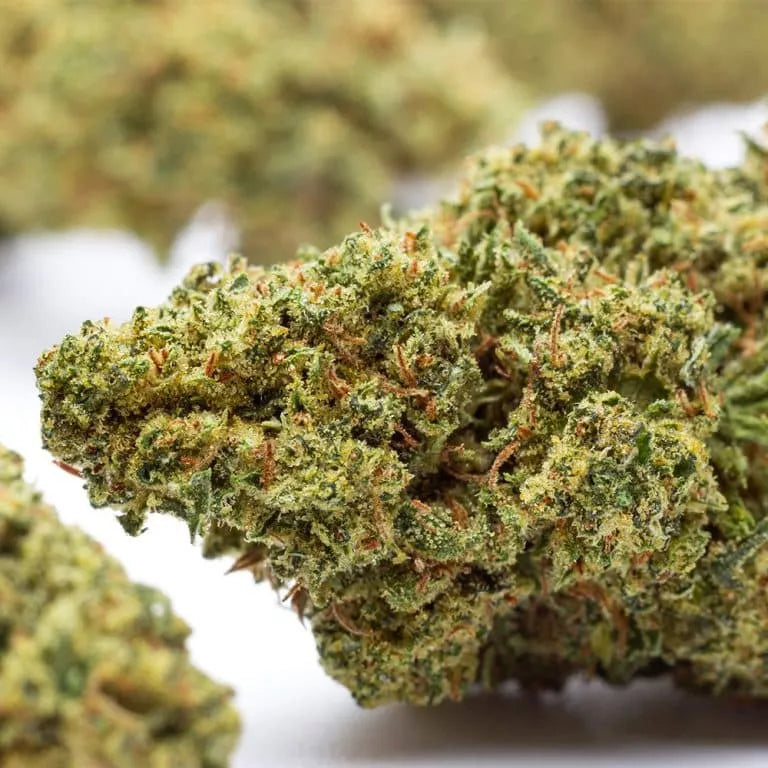 Lemon Haze