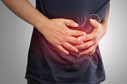 Le CBD et la Santé Digestive : Soulagement des Troubles Gastro-Intestinaux