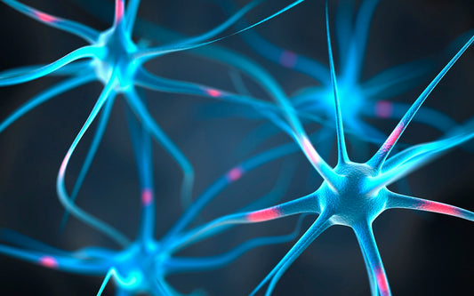 Le CBD pour Améliorer la Concentration et la Productivité
