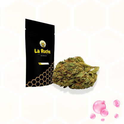 Bubble Gum