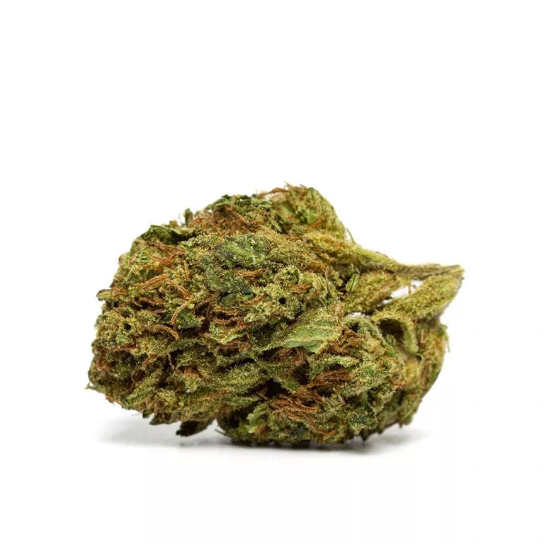 Bubble Gum