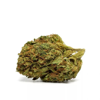 Bubble Gum